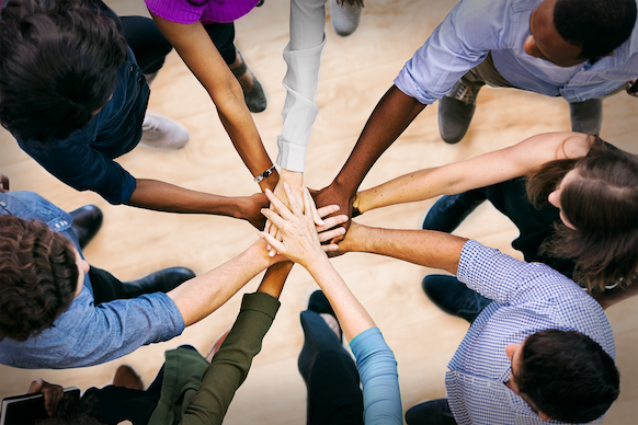 Meet Our Team of Market Research Experts